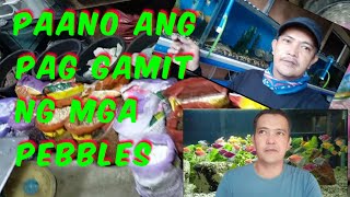 PAANO ANG PAGLALAGAY NG PEBBLES SA AQUARIUM | WHY DO I NEED AQUARIUM GRAVEL OR SUBSTRATE