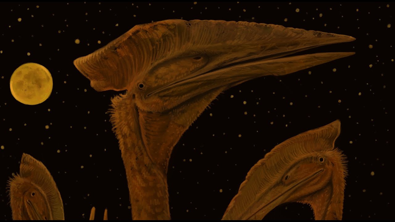 Speedpaint: Night Walk