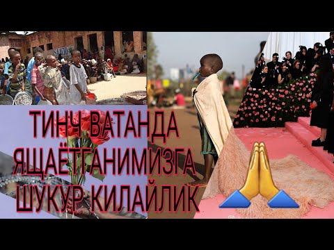 Борига шукур килайлик