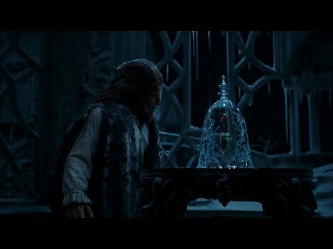 Beauty and the Beast (Live Action) - Evermore | IMAX Open Matte Version