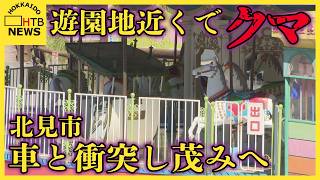 遊園地の近くでクマが車と衝突し茂みへ逃走　緊急閉園 "客の安全優先"　北見市