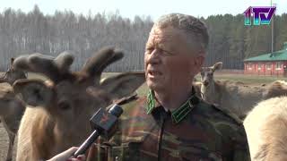 Видео
