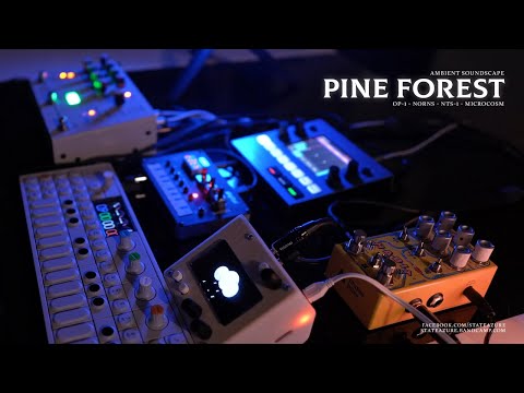 Pine Forest - Ambient Soundscape (OP-1, Norns, NTS-1, Microcosm)