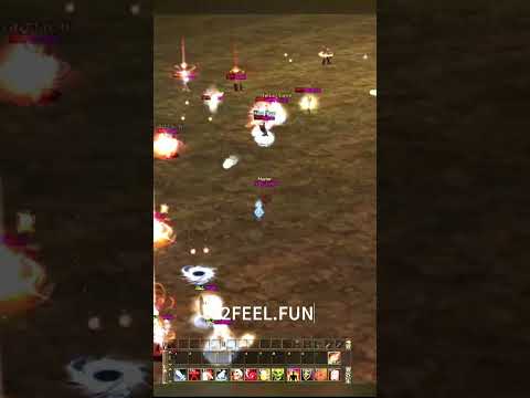 L2Feel Gallery 18