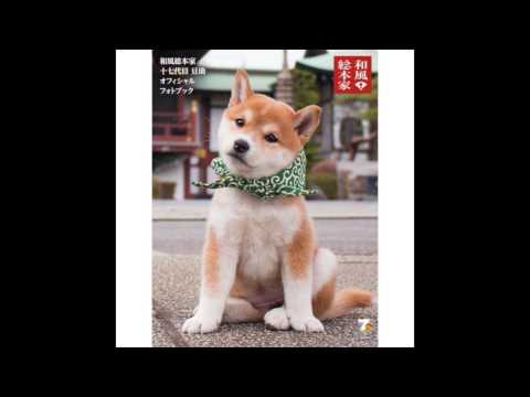 Wafu Sohonke - 09 勝機 (ゲーム「戦国無双3」より)