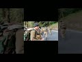 Lansdowne ️ Tha Garhwal Rifles Traning ️ ️ Jay Bdri Bisal Lal Ki ️ ️