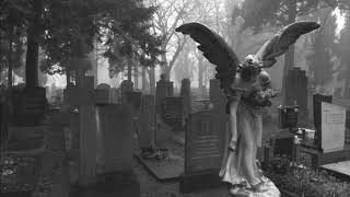 Dark Sanctuary - Ordre Et Decadence