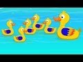 Five Little Ducks Went Swimming One Day Children S Song Kids Tv Nursery Rhymes
