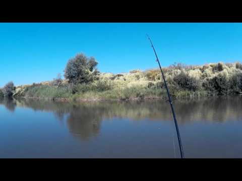 Spinning la clean/chub fishing part 3