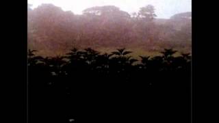 And Also The Trees - The tease the tear