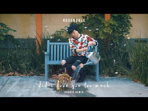Rosendale - did i love you too much (Godrix Remix)
