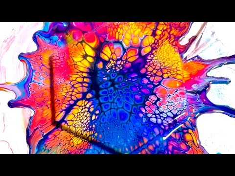 #173 The Ultimate Guide to Peacock Cells! 🦚