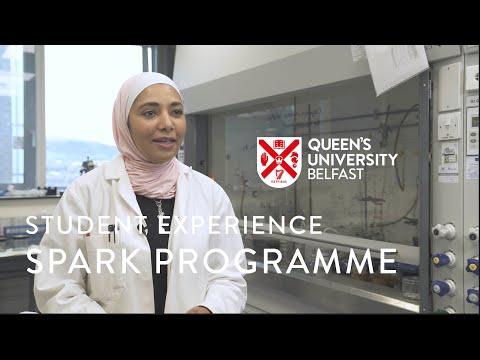 Early Stage Researcher | Hadil Suleiman