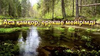 Басир Дураку Фатиха