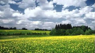 Nat King Cole -- Adiós Mariquita Linda