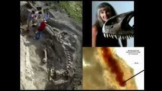 How Can 75 Million Year Old Dinosaur Fossils Have Blood Cells, Collagen, and Soft Tissue?