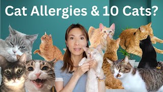 Best Cat Allergy Treatment Journey Ever! (Must Watch)