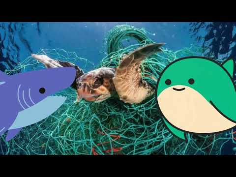 UM MAR DE AMIGOS A TARTARUGA FALANTE