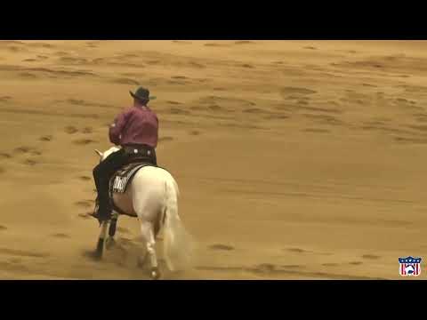 2023 Quarter Horse Congress Open Reining Finals Sam Schaffhauser on SV Total Splash