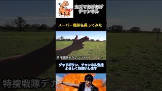 【名乗ってみた】特捜戦隊デカレンジャー【スーパー戦隊】