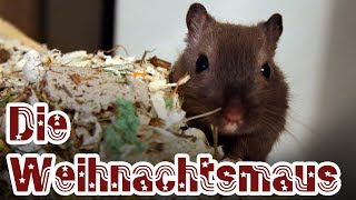 [Besinnlich] "Die Weihnachtsmaus" von James Krüss - Gedicht