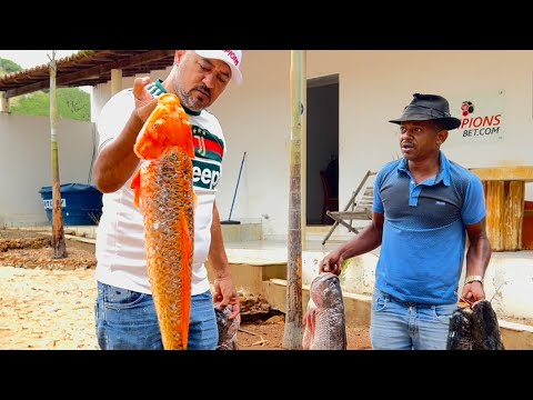 TÕE QUER PESCAR TODOS OS PEIXES DA CHÁCARA COMÉDIA SELVAGEM