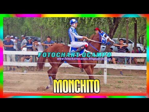 MONCHITO - Campo Gallo - Santiago del Estero 23/12/2023
