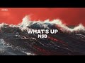 NSB What S Up Sub Español