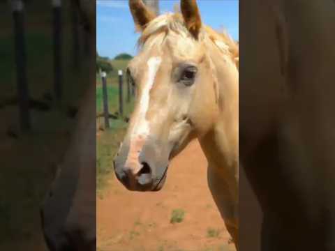 Retrospectiva Agricultura 2025