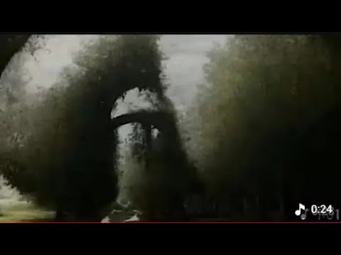 XXL XXL XXL XXL FREESTYLE 2024 |XXL 2024 | Xxwd5000xa | XXL XXL XXL XXL FREESTYLE