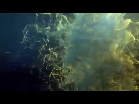 Malawi-Guru.de Video