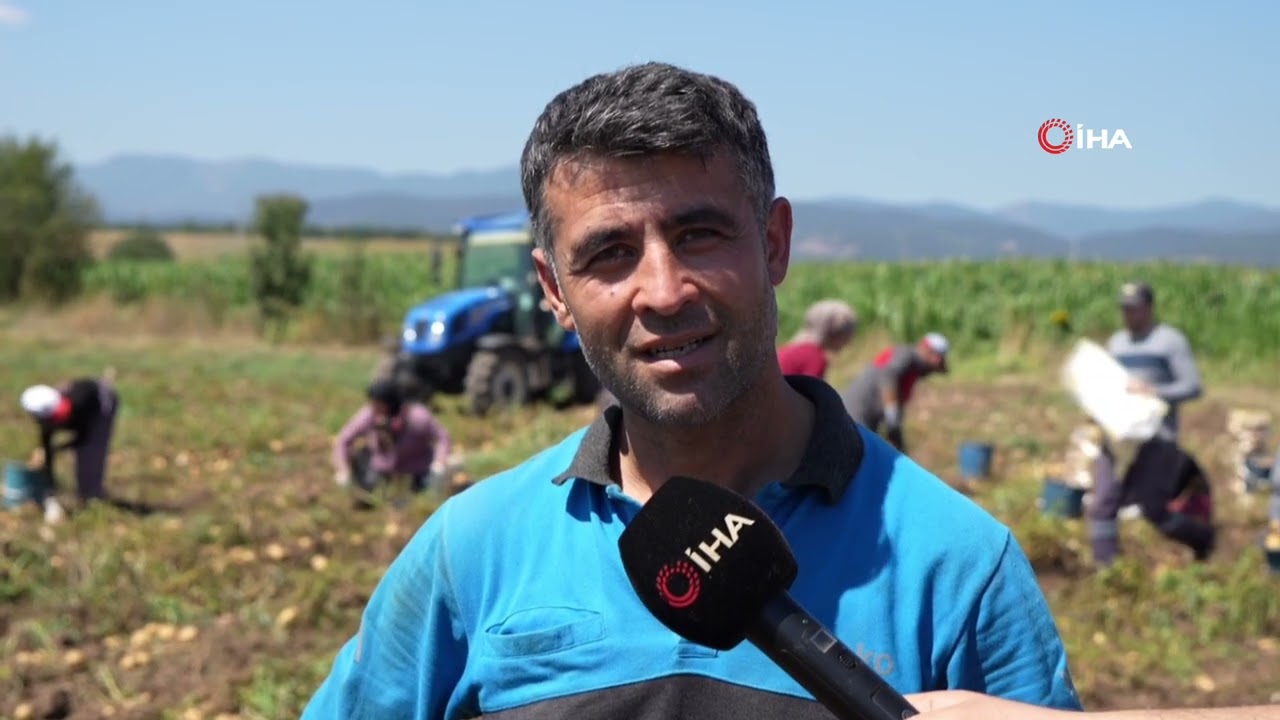 Patates diyarında zorlu hasat mesaisi başladı