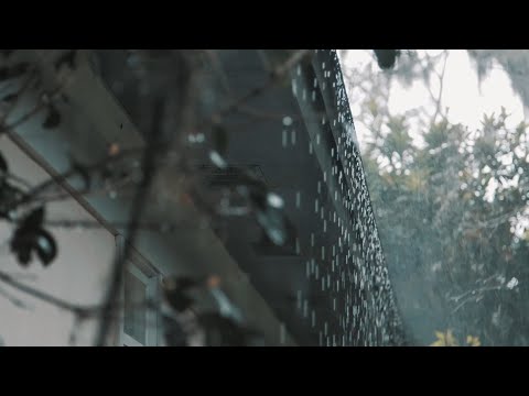 Sonido de Lluvia para Dormir en 11 Minutos - Lluvia Relajante para Dormir - Adiós al Insomnio.