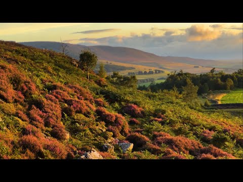 August: Rothbury Hills | Chronicles of Coquetdale