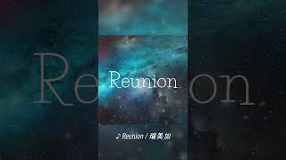 Reunion / 瑠美加 Tatsu_P