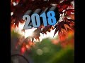 2018 Ending Whatsapp Status Video