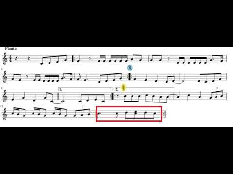 "CUANDO NADIE ME VE" - FLAUTA