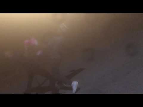 STE Quinn vs Scarface