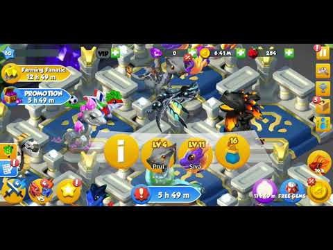 Hatching Pansy Dragon