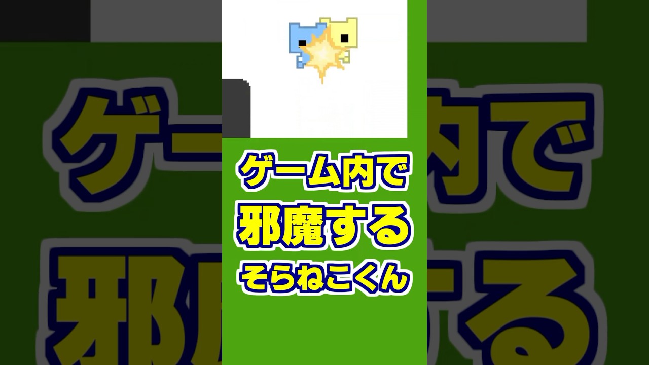 仲が良すぎるアニマル教団　#Shorts #そらねこ #めろぱか #めろんぱーかー