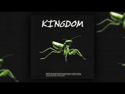 [FREE][15+] UK Drill Loop/Sample Kit - Kingdom (Vocal, Chopped, Dark, SR, Suspect, Russ Millions)