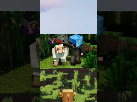 𝗦𝗽𝘆 𝗖𝗼𝗿𝗲 - Witch STOLE My Sheep.#shorts #minecraft