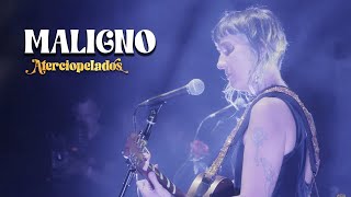 Aterciopelados - Maligno (En Vivo)
