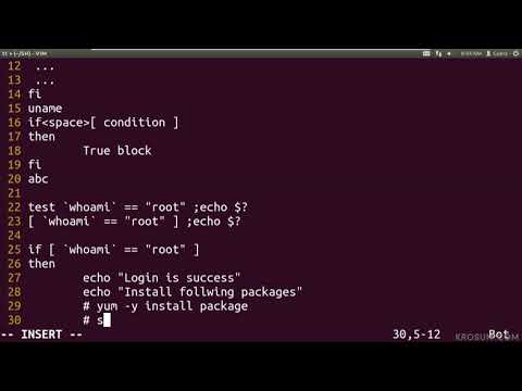 Shell Script Conditional Statement If Only