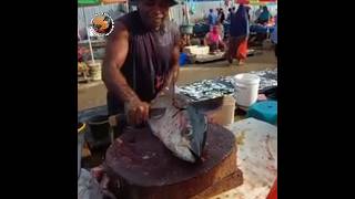 World’s Largest Fish Sold in Wet Market