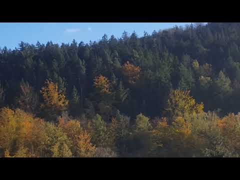 Sturm "Ignatz" kommt im Erzgebirge an. 21.10.21