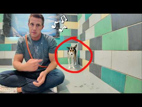 She’s been Shut Down her Whole Life…Until She Hears this Song 🥹