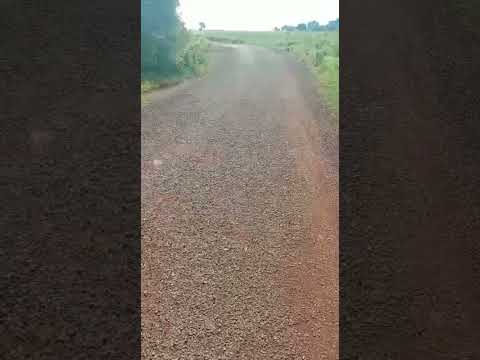 Zahirabad near Mango Farm Sale:Rs.55 Lacks Per Acre:Don't Call agent's:Read Details Below:9494924356