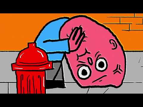 Dirty Nice - SHARK! (Official Video)