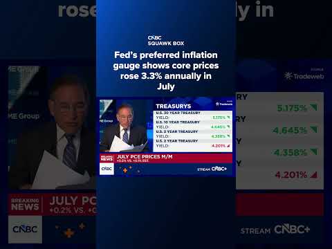 Fed's preferred inflation gauge shows core prices rose 3.3% annually in July